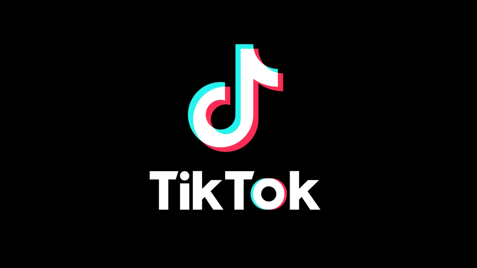 TikTok fears point to larger problem: Poor media literacy in the social media age