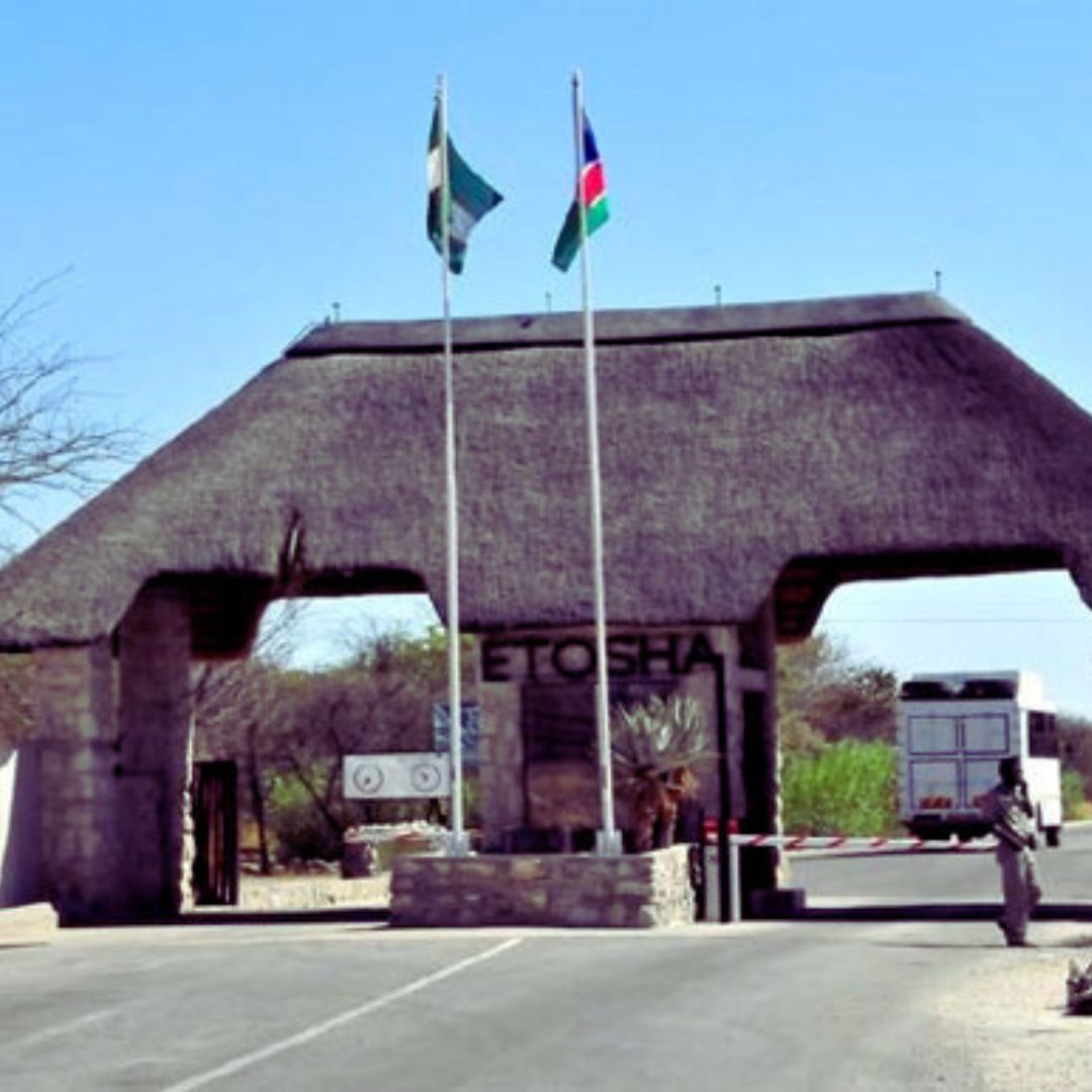 Etosha National Park roads to get urgent repairs