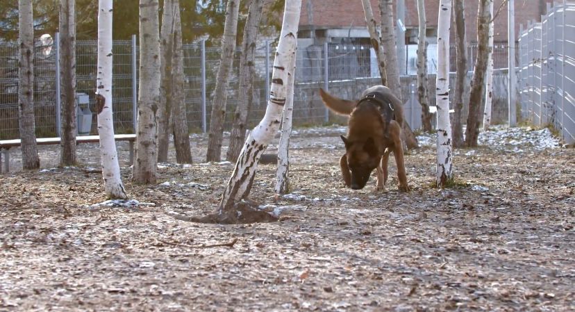 Police deploy drone and helicopter in search for Beatus Iiyambo 