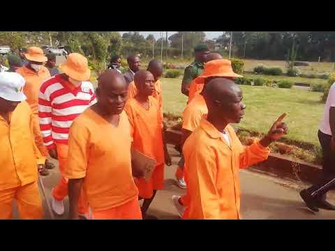 Zimbabwe okwa tameke oku mangulula aanadholongo ya thika 4000 kohi yopolohama yesilohenda yomupresident,tayi lalakanene oku pupaleka eudhakano moondjedhililo